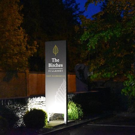 فندق The Birches كيلارني المظهر الخارجي الصورة