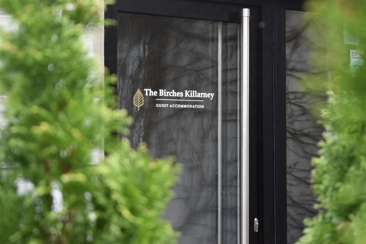 فندق The Birches كيلارني المظهر الخارجي الصورة